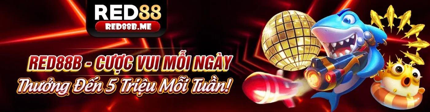 Hình ảnh chính của Blog 98vin với tin tức cá cược mới nhất